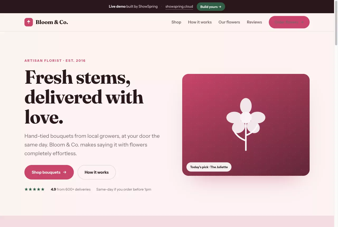 Bloom & Co. - live demo preview