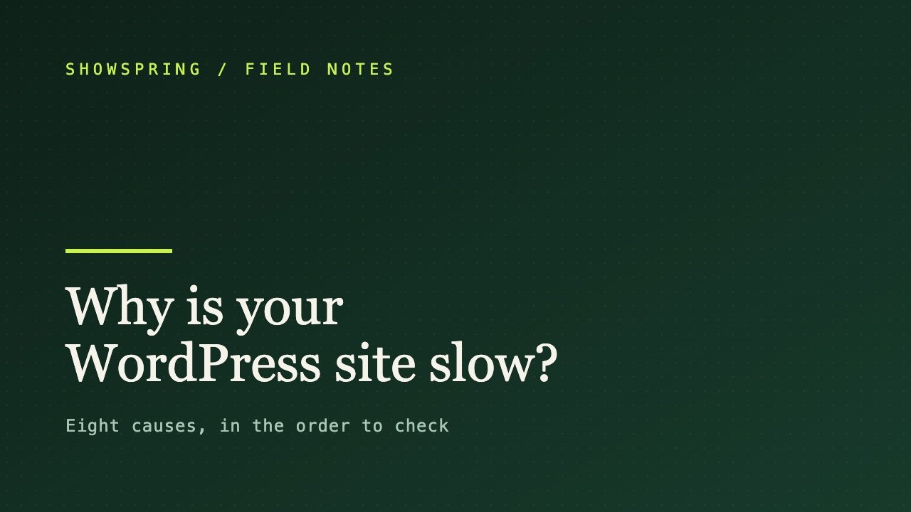 Eight causes of slow WordPress sites, in the order to check